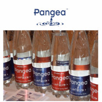 pangea scultura photo sculptures