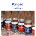 pangea scultura photo sculptures