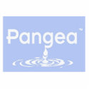 pangea scultura photo sculptures