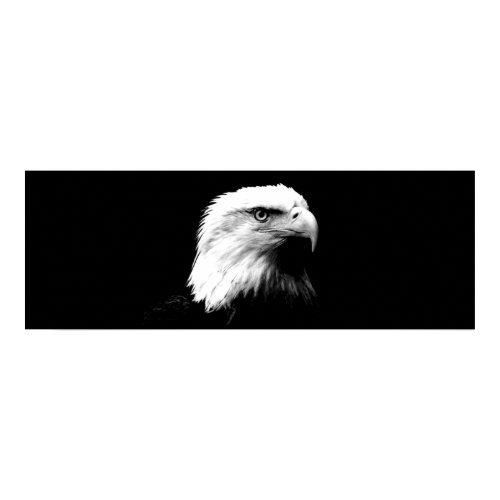 Panoramic Bald Eagle American Eagle Poster Print print