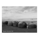 Panoramic Canvas Print