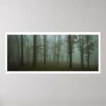 Panoramic Gloomy Forest Landscape posters
