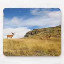 Panoramic Mousepads by michiko_kaioh Panoramic Mousepads