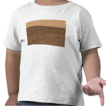 Panoramic view of Mars 8 t-shirts