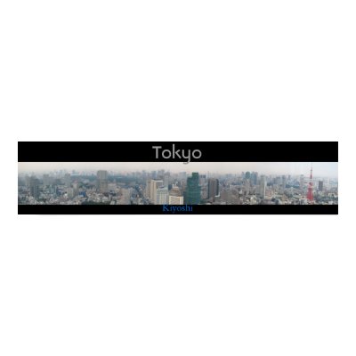 Panoramic View of Tokyo Print by Kiyoshi