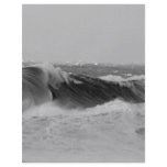 Panoramic Waves flyers