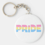 Pansexual/Omnisexual Pride Keychains