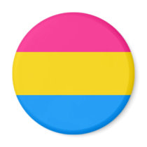 Pansexual Pride Fridge Magnets