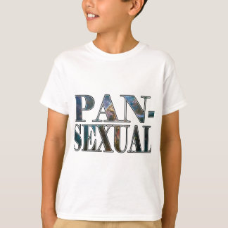 hot topic pansexual shirt