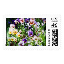 PANSIES: A SPLASH OF COLOR STAMP