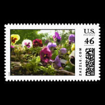 Pansies - abstract art postage