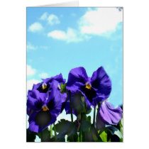 Pansies against sky cards