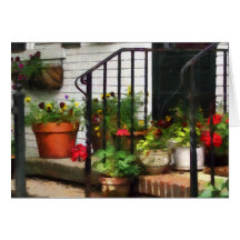 Pansies and Geraniums on Stoop Greeting Card
