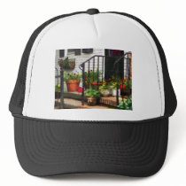 Pansies and Geraniums on Stoop hats