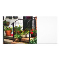 Pansies and Geraniums on Stoop photo cards
