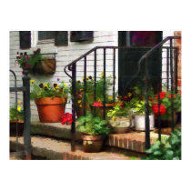 Pansies and Geraniums on Stoop posters