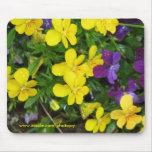 Pansies and the Rain Mouse Mat