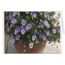 pansies cards by amjon1 pansies cards