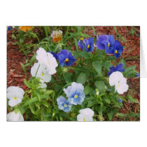 Pansies cards by minx267 Pansies cards