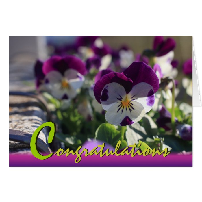 Pansies CC0473 Flower Celebration Card