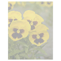 Pansies  flowers customized letterhead