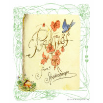 Pansies from Shakespeare Shirt