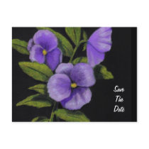 Pansies in Color Pencil: Save the Date Postcard