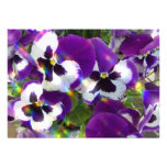 Pansies Invitation