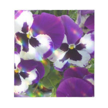 Pansies  Notepad