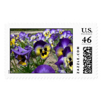 Pansies on Parade postage by codfishlady Pansies on Parade postage