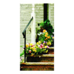 Pansies on Steps Custom Photo Card