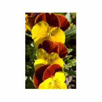 Pansies Photo Sculpture