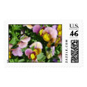 Pansies postage by titanic Pansies postage
