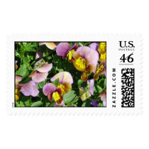 Pansies postage by titanic Pansies postage
