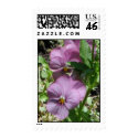 Pansies postage by Just_For_Mom Pansies postage