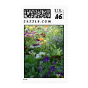 Pansies stamp