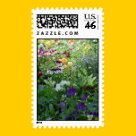 Pansies postage