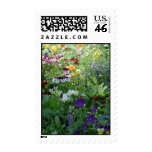 Pansies Postage Stamp