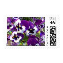 Pansies Postage Stamps