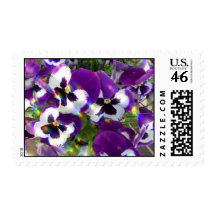Pansies Postage Stamps