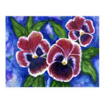 Pansies Postcard