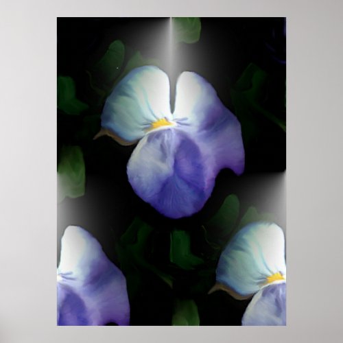 Pansies print