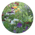 Pansies sticker