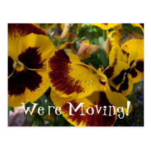 Pansies with Water Droplets; Change of Address Post Cards
