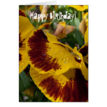 Pansies with Water Droplets; Happy Birthday Greeting Cards