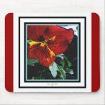 Pansy 1 mousepad Pansy 1 mousepad