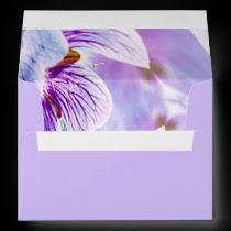 Pansy A7 Greeting Envelope envelopes