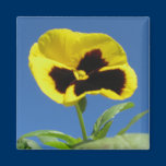 Pansy and Sky Gift Magnet magnets
