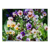 pansy bed cards by minx267 pansy bed cards