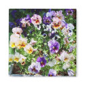 pansy bed magnets by minx267 pansy bed magnets